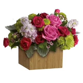 💐 72040569 bunga, mawar, buket, rangkaian bunga, hadiah, dekorasi, perayaan telegram sticker