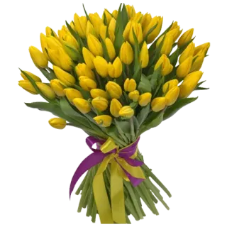 🌷 7de873b5 tulip, bunga, buket, kuning, musim semi, floral, alam telegram sticker