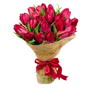 🌷 93b3bf94 tulip, buket, bunga, hadiah, rangkaian bunga, bunga merah telegram sticker