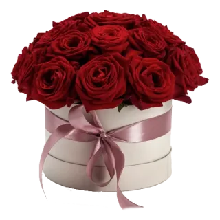 🌹 964c645e bunga, mawar, mawar merah, buket, rangkaian bunga, hadiah, romansa, cinta telegram sticker