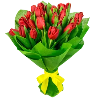 🌷 b7a2bbe1 buket, tulip, bunga merah, bunga, hadiah, pita kuning telegram sticker