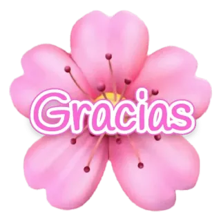 🙇‍♀ 52401742 Gracias 花, ありがとう, フローラル, 感謝, ピンク telegram sticker