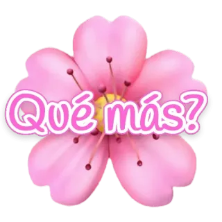 🙄 b5d69da9 ¿Qué más? 花, ピンク, 質問, スペイン語 telegram sticker