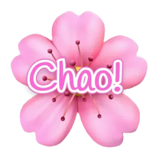 👋 f8e0f323 Ciao! 花, ピンク, チャオ, 挨拶, イタリア telegram sticker