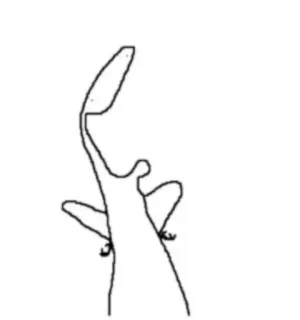 😃 cda939f4 telegram sticker