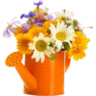 @LoveoopS _Flower4 telegram stickers