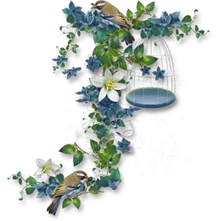 🌸 060cce62 นก, ดอกไม้, ลายดอกไม้, ธรรมชาติ, กรงนก, ตกแต่ง, สติกเกอร์ telegram sticker