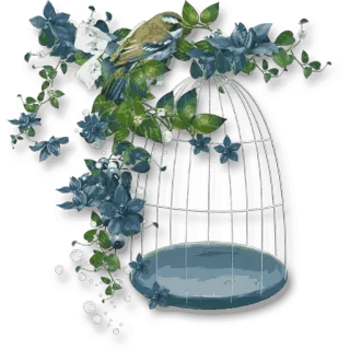 🌹 0a635e39 นก, กรง, ดอกไม้, ธรรมชาติ, การจัดดอกไม้, การตกแต่ง, วินเทจ, สุนทรียศาสตร์ telegram sticker