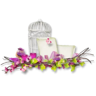 🌹 131217ce นก, ดอกไม้, กรงนก, ฤดูใบไม้ผลิ, ลายดอก, ธรรมชาติ, การตกแต่ง telegram sticker