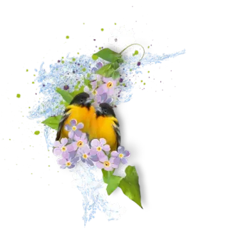 🌸 1c285a43 นก, ดอกไม้, ธรรมชาติ, ฤดูใบไม้ผลิ, สีเหลือง, สีน้ำเงิน, ลายดอก telegram sticker