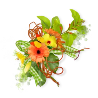 🌸 1c7aed76 ดอกไม้, ลายดอกไม้, ช่อดอกไม้, ธรรมชาติ, ตกแต่ง, ใบไม้, เยอบีรา, ผีเสื้อ telegram sticker