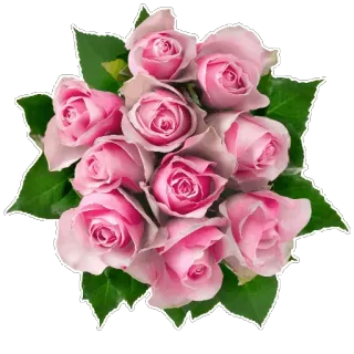 🌸 1ef1833b กุหลาบ, ดอกไม้, ช่อดอกไม้, สีชมพู, ลายดอก, ธรรมชาติ, ของขวัญ telegram sticker