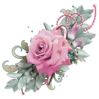 🌸 41465554 กุหลาบ, ดอกไม้, ลายดอกไม้, ตกแต่ง, เครื่องประดับ, สีชมพู telegram sticker