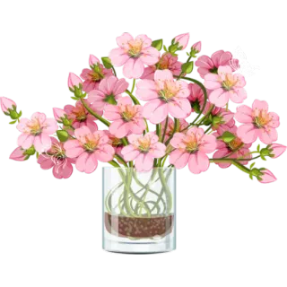 🌹 49998c8a ดอกไม้, ดอกไม้สีชมพู, ช่อดอกไม้, ลายดอกไม้, แจกัน, ธรรมชาติ, ผีเสื้อ, ฤดูใบไม้ผลิ telegram sticker