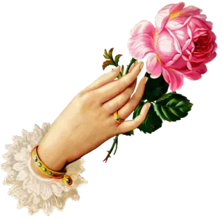 🌹 56047ea5 มือ, กุหลาบ, ดอกไม้, วินเทจ, เครื่องประดับ, โรแมนติก telegram sticker