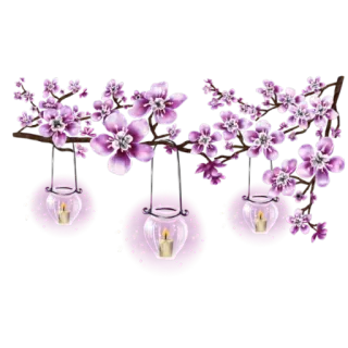 @LoveoopS _Flower4 whatsapp stickers