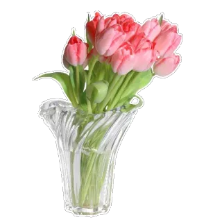 🌹 892740a1 ดอกไม้, ทิวลิป, แจกัน, ลายดอก, ช่อดอกไม้, สีชมพู, ฤดูใบไม้ผลิ telegram sticker