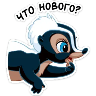 ☺️ 9772c38a ЧТО НОВОГО? moufette, dessin animé, animal, question, russe, quoi de neuf telegram sticker