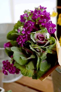 🌸 0c2bba6a цветы, букет, фиолетовые цветы, декоративная капуста, цветочная композиция telegram sticker