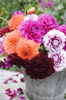 Flower Arrangements telegram stickers