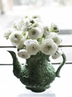 Flower Arrangements telegram stickers