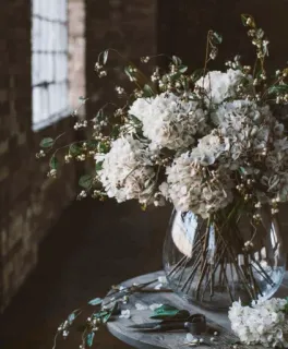 🌸 91617922 цветы, гортензия, цветочная композиция, ваза, в помещении, декор, букет telegram sticker