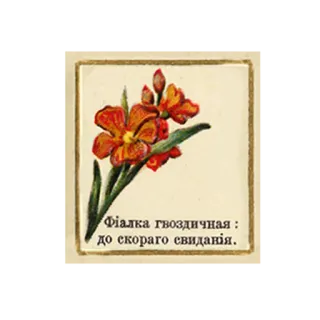 👋 8a1ccb4e Фiалка гвоздичная: до скорого свиданiя. bunga, violet, tanaman, berbunga, salam, vintage, Ukraina whatsapp sticker