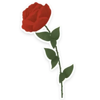 🌹 e9ddb942 mawar, bunga, merah, tanaman, berbunga, alam whatsapp sticker