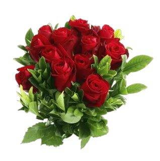 🌹 6ba4a046 玫瑰, 花, 红色, 花束, 花卉, 爱, 浪漫 telegram sticker