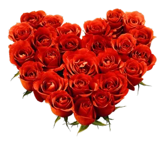 🌹 a5969208 玫瑰, 花, 心, 情人节, 爱, 浪漫 telegram sticker