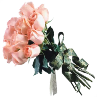 💐 16fcac54 花, 花束, 玫瑰, 花卉, 自然 telegram sticker