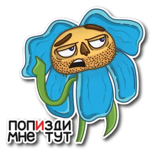 🧐 53d7663e ПОПИЗДИ МНЕ ТУТ flor, rosto, adesivo, desenho animado, russo, insulto whatsapp sticker