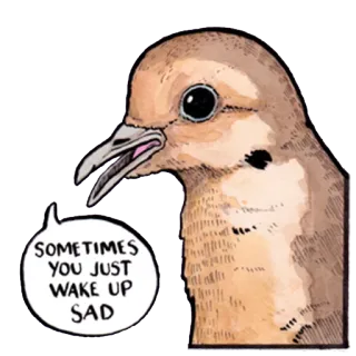 🙁 56fa6ce1 SOMETIMES YOU JUST WAKE UP SAD vogel, verdrietig, dier, rouwtortel whatsapp sticker
