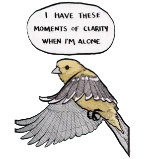 🦅 5a536ad2 I HAVE THESE MOMENTS OF CLARITY WHEN I'M ALONE vogel, helderheid, momenten, alleen, geel, vliegen whatsapp sticker