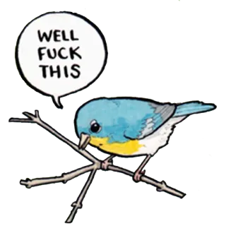 😠 964e2eb5 WELL FUCK THIS vogel, neuken, boos, cartoon, dier whatsapp sticker