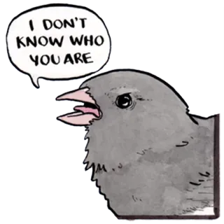 😣 d43fd063 I DON'T KNOW WHO YOU ARE vogel, spraakballon, cartoon, dier, grijs whatsapp sticker