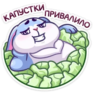 💰 a6f709aa Капустки привалило кролик, капуста, смешной, животное, милый, мультфильм telegram sticker