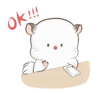 👌 39e0ff08 OK!!! chinchila, fofo, animal, roedor, ok, aprovação whatsapp sticker