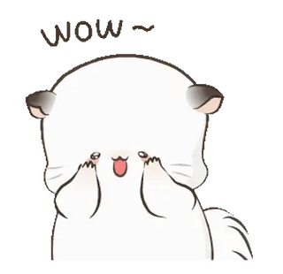 😲 8363c440 WOW ~ chinchila, animal, fofo, uau, surpreso, reação whatsapp sticker