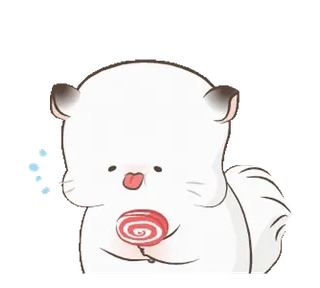 🍭 aafe7a10 chinchila, doce, pirulito, fofo, animal, doce whatsapp sticker