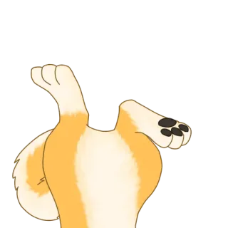 🐺 3bd09b92 chien, fesses, animal, shiba inu, mignon, humour telegram sticker