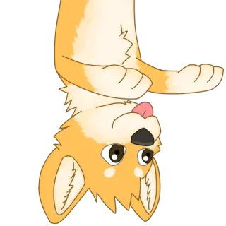 😛 630add6f corgi, chien, animal, animal de compagnie, mignon, langue telegram sticker