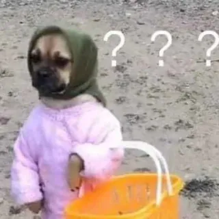 😕 065af13d ? ? ? chó, dấu chấm hỏi, vui nhộn, động vật, dễ thương, meme whatsapp sticker