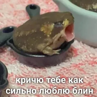 ❤️ 13b89d05 кричю тебе как сильно люблю блин ếch, nga, tình yêu, blin, động vật, chảo whatsapp sticker