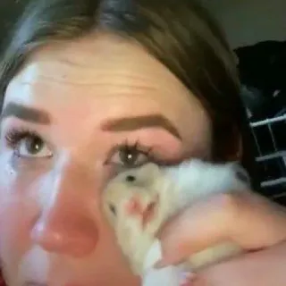 😢 151bc818 phụ nữ, chuột hamster, thú cưng, động vật, khuôn mặt, khóc, buồn, dễ thương whatsapp sticker