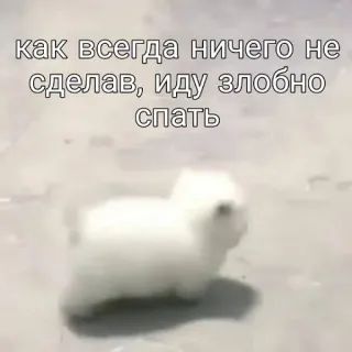 💤 9211c6d0 как всегда ничего не сделав, иду злобно спать chó, động vật, buồn ngủ, meme, hài hước, lười biếng whatsapp sticker
