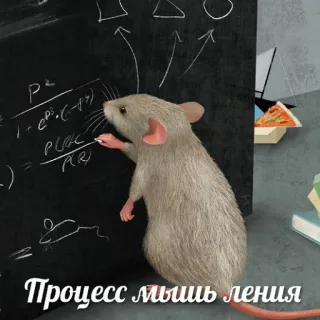 🤔 e59d6be4 Процесс мышь ления chuột, chuột cống, bảng đen, toán học, phương trình, pizza whatsapp sticker