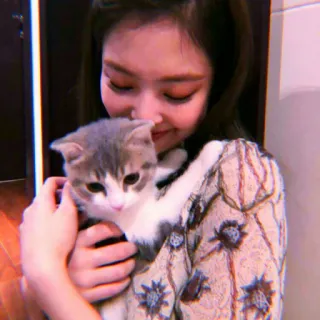 🥡 0cd913cb 여자, 고양이, 귀여운, 애완동물, 동물, 집, 사람, 행복한 telegram sticker