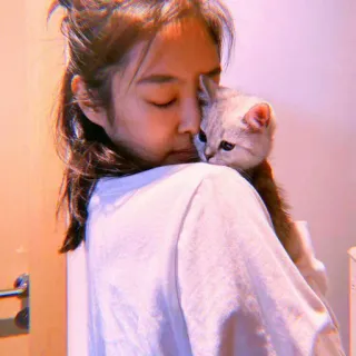 🥡 3530dee7 여자, 고양이, 소녀, 애완동물, 반려동물, 동물, 인간, 사람 telegram sticker