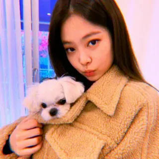 🥡 f5ea26dd 여자, 개, 애완 동물, 소녀, 귀여운, 초상화 telegram sticker